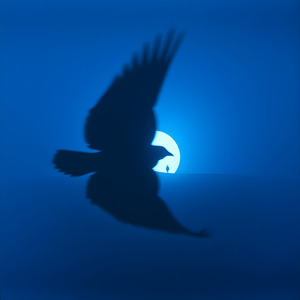 Я запускаю нас в бесконечность