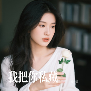我把你私藏