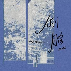 侧脸·2024（DJ小辞Remix）