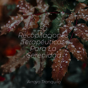 Energizar El Espíritu