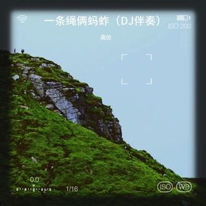 一条绳俩蚂蚱 (DJ伴奏)