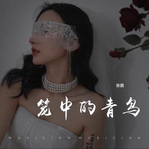 笼中的青鸟 (官方x1.2版)