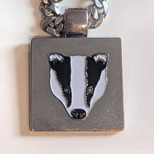 I got mad love for badgers (Radio Edit)