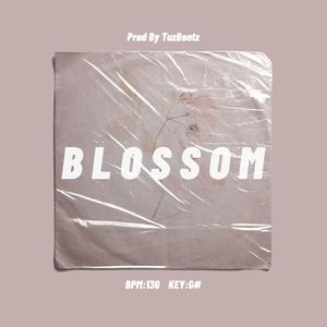 [Free] R&B Sik-K/pH-1 Type Beat "Blossom"