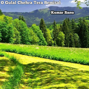 O Gulal Chehra Tera Bemisal