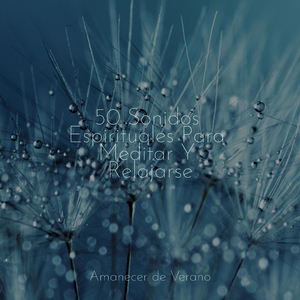 Reuniendo Ecos de Otoño