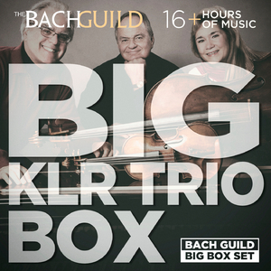 Clarinet Trio in A Minor, Op.114