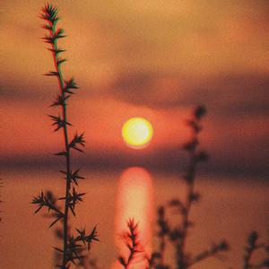 Dawn to Dusk (feat. Post Apocalyptic Society)