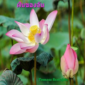 ความรักที่หลงทาง