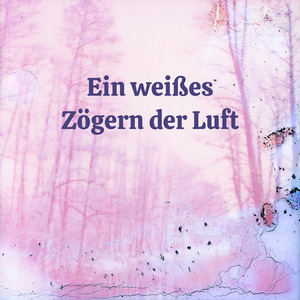 Der Kreis über den Dächern