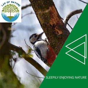 Pleased Beach Ripple