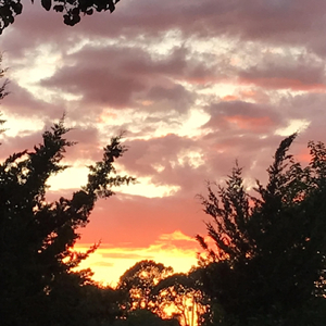 Calming Around (Live)