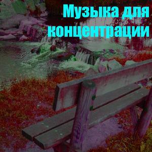 ?????? ??? ???????????? 2 (???? ??? ??)