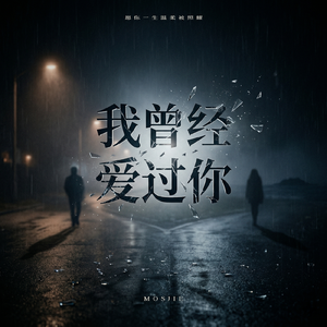 我曾经爱过你