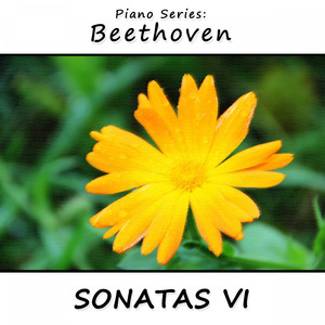 Sonata No. 9 in C Major, Op. 14 (No. 1): II Allegretto