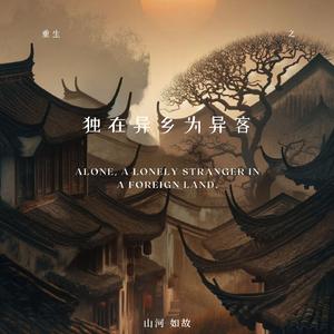 独在异乡为异客 (纯享版)