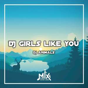 DJ Girls Like You