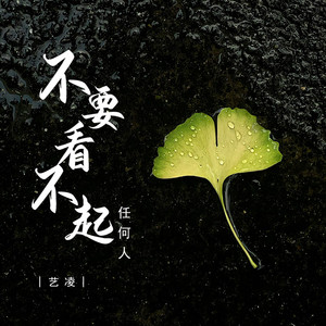 不要看不起任何人 (DJ彭锐版)