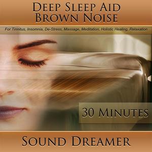 Brown Noise (Deep Sleep Aid) [For Tinnitus, Insomnia, De-Stress, Massage, Meditation, Holistic Healing, Relaxation] [30 Minutes]