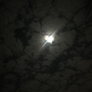 那年夏天的流星
