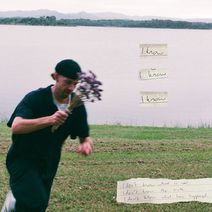 little purple flower