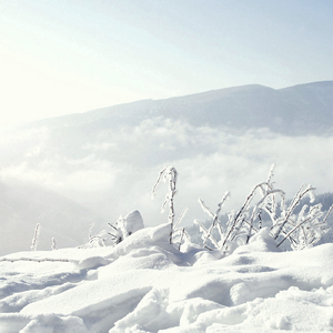 念平生（Cover 司夏）