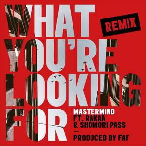 What You're Looking For (Remix) [feat. Rakaa & Shomori Pass]