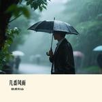 几番风雨（Cover 邰正宵） - 放虎归山 专辑封面
