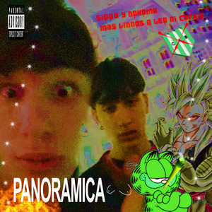 Panoramica