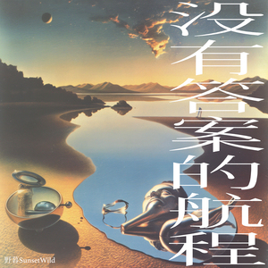 没有答案的航程