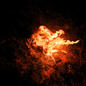 Luz