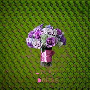 Lilac Dress (Enhanced Mix)
