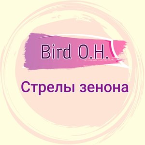 Стрелы зенона