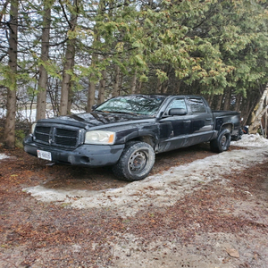 I Love You Miss McKauged