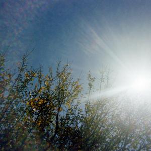 Cascabel (feat. Obed)