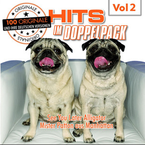 Mister Patton Aus Manhattan