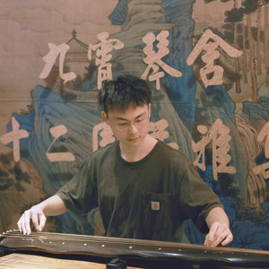 平沙落雁-逸弦拟奏杨葆元版