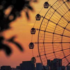 先生啊你也不必担忧出处