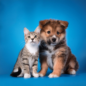 Terapia De Ritmos Susurrados