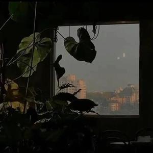 裂缝中的阳光（片段）