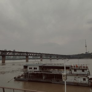 蘑菇云-[无AU]星痕寻光