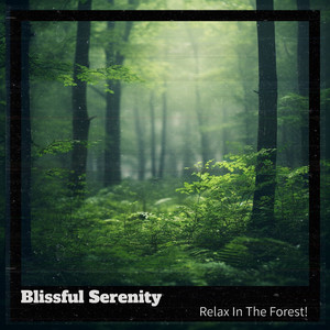 Stillness of an Empty Room