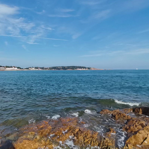 midsummer coast夏岸
