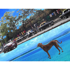 Fold the Ocean (바다를 접어)