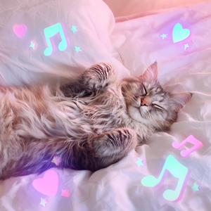 猫吸い日和　mofu01