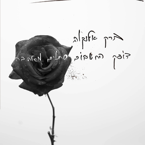 ככה זה נראה