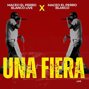 una fiera (live)