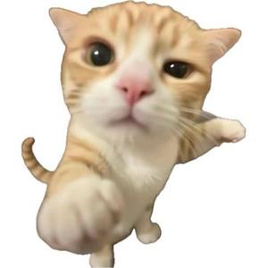 PRESSURE（哈基咪）