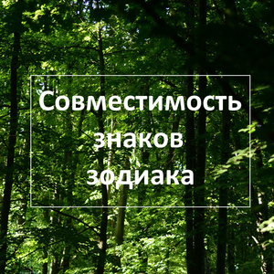 Совместимость телец мужчина и овен женщина