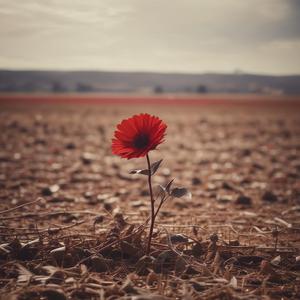 Nebbaşlar x by @arashann